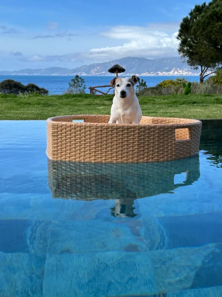 Villa de luxe 10 personnes à Agosta en Corse-du-sud, avec parc et piscine, vue mer et accès plage, proche Ajaccio et Porticcio